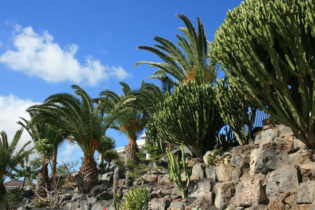 הוילה צ'ארקו דל פאלו Casa Ronda מראה חיצוני תמונה